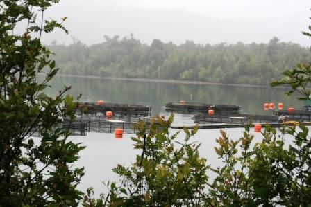 Fischfarm in den Fjorden